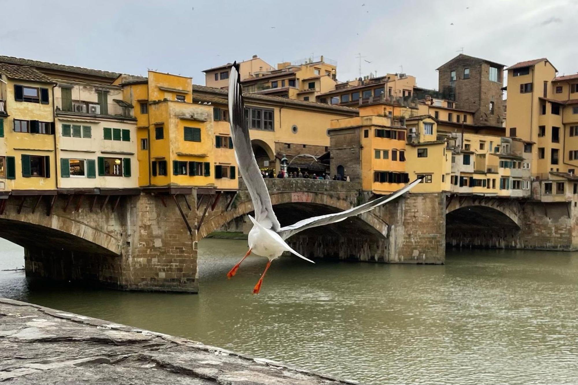 Modern Apartments In The Heart Of Florence Extérieur photo
